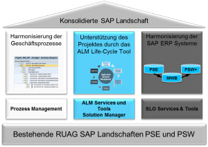 Abbildung 2: Erfolgsfaktoren fr die Systemkonsolidierung (Quelle: SAP)