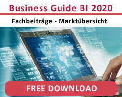 Bi-Guide 2020