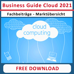 Business Guide Cloud 2021