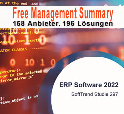 ERP Studie 2022