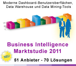 Business Intelligence Marktstudie 2011